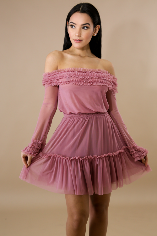 Pleated Sheer Tulle Dress