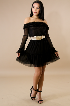 Pleated Sheer Tulle Dress